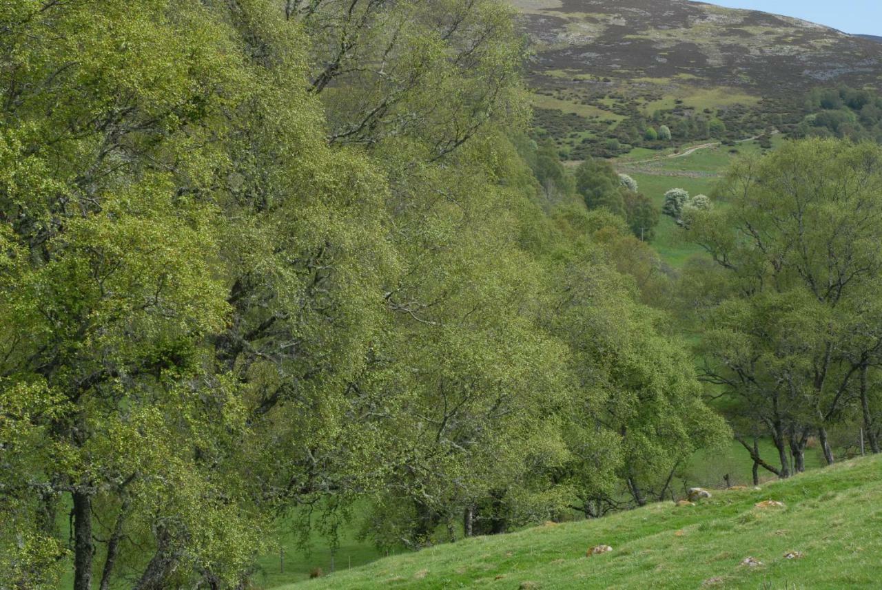 Howe Of Torbeg Ballater Exterior photo